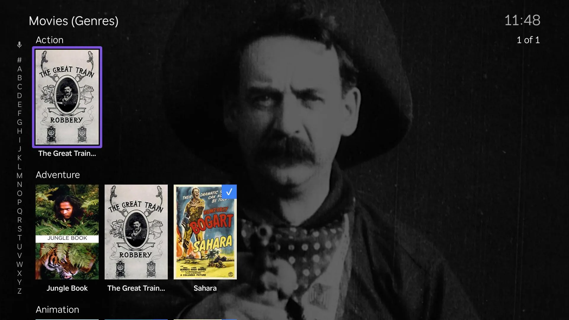 JellyRock — Movies library genres