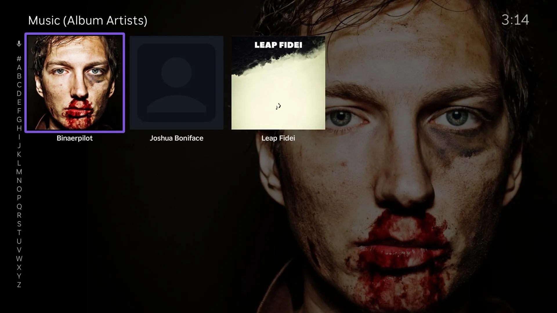 JellyRock — Music library album artists